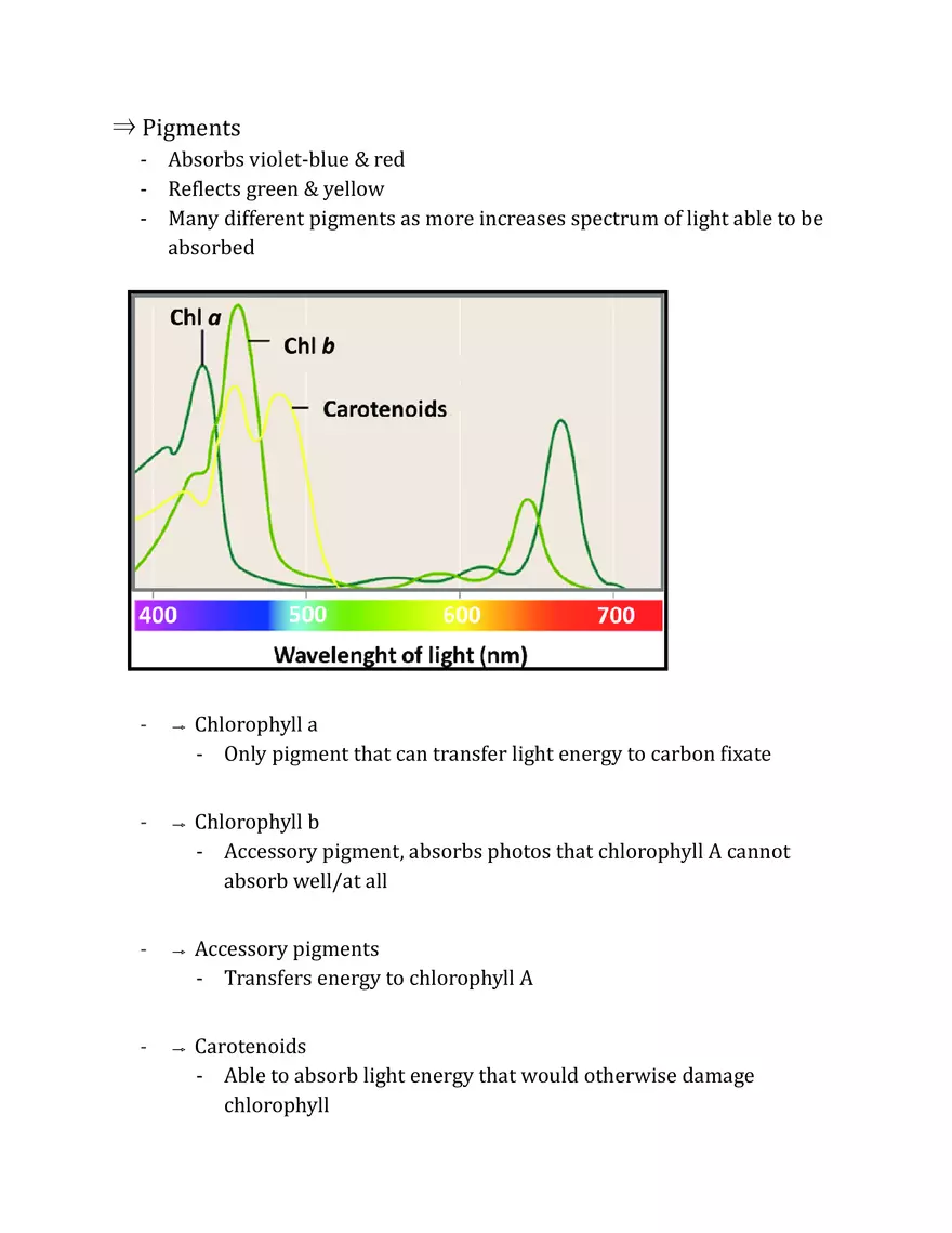 Unit 2 - Metabolism Notes - Page 16