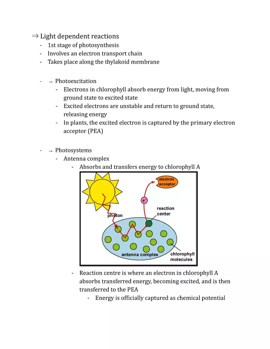 Unit 2 - Metabolism Notes - Page 18