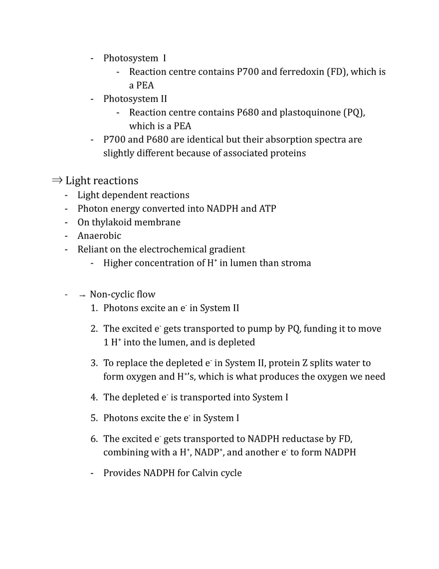 Unit 2 - Metabolism Notes - Page 19