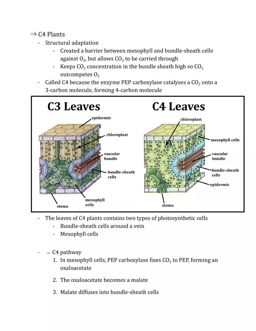 Unit 2 - Metabolism Notes - Page 23