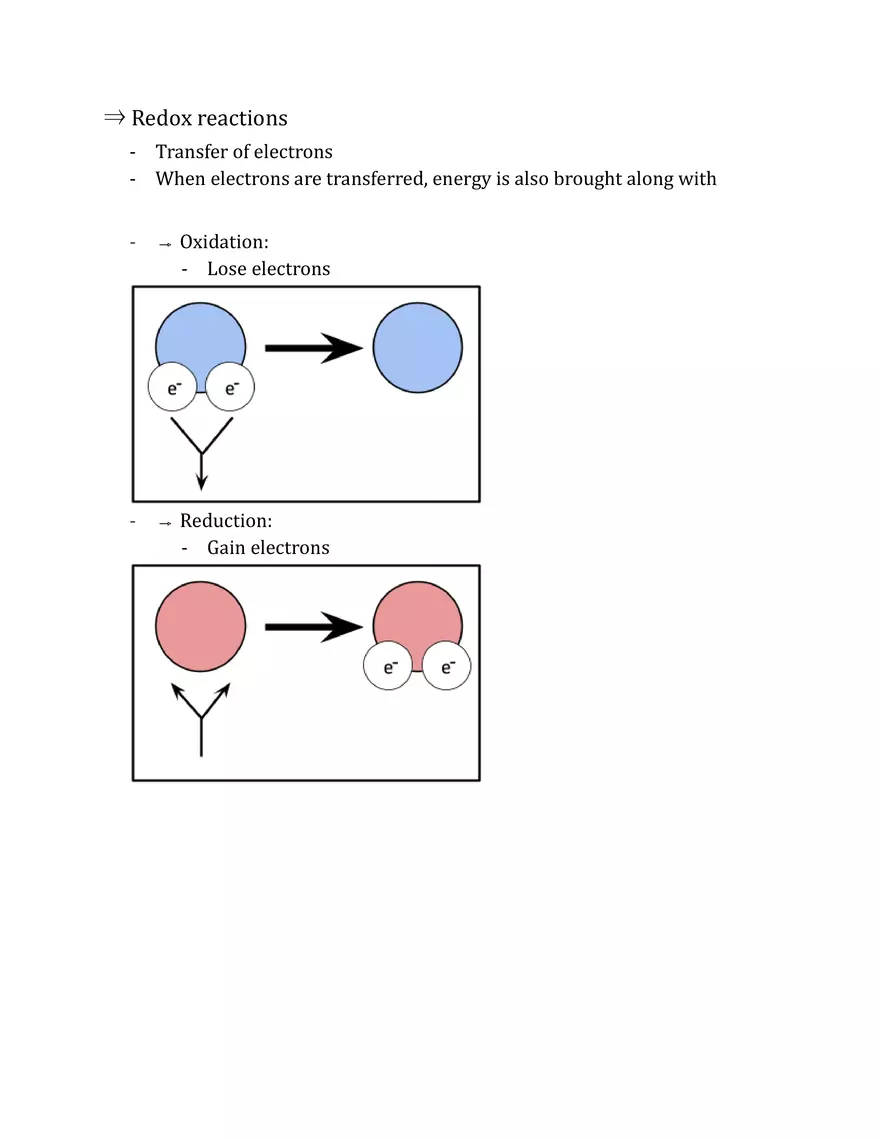 Unit 2 - Metabolism Notes - Page 24