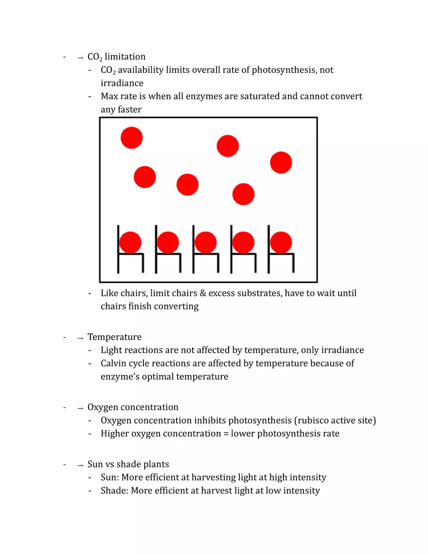 Unit 2 - Metabolism Notes - Page 28