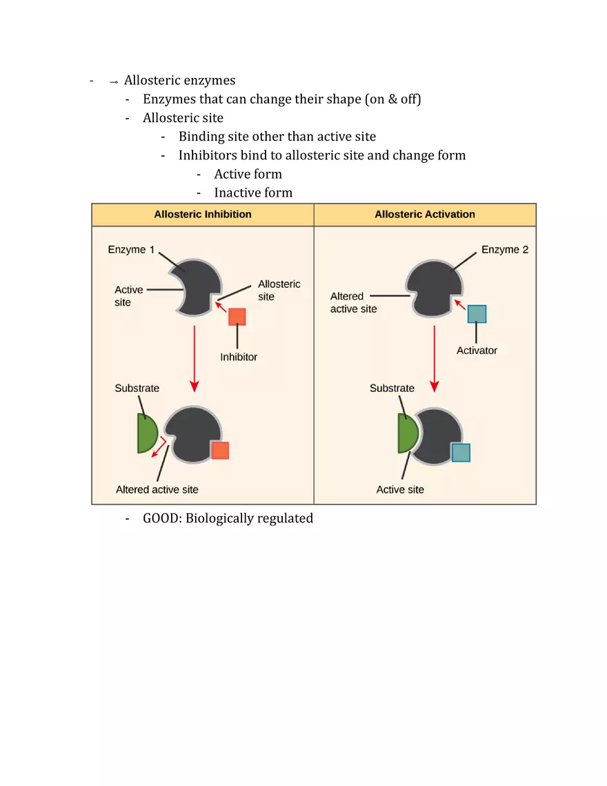 Unit 2 - Metabolism Notes - Page 32