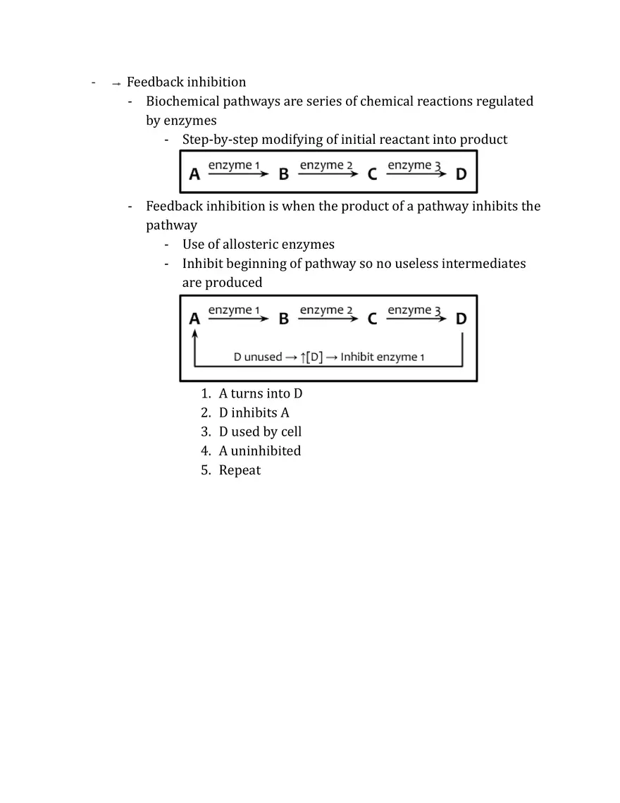 Unit 2 - Metabolism Notes - Page 33