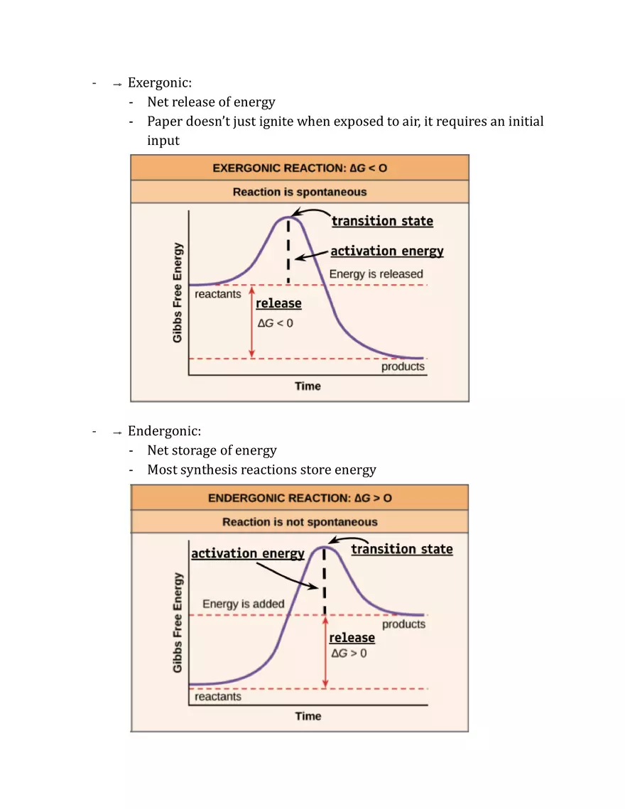 Unit 2 - Metabolism Notes - Page 2