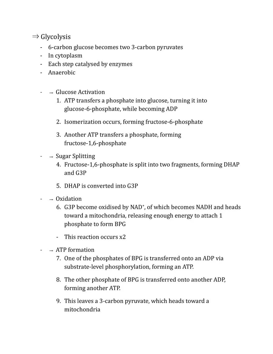 Unit 2 - Metabolism Notes - Page 5