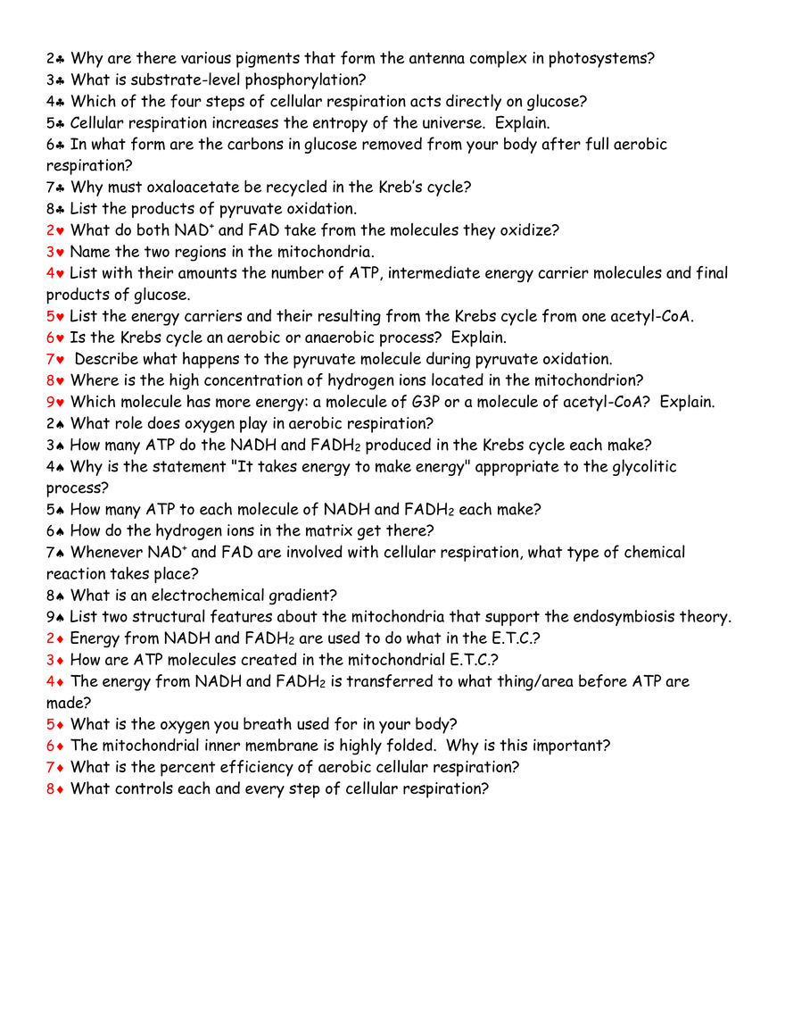 Photosynthesis TGT – Questions - Page 3