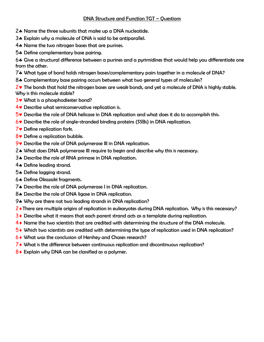 DNA Structure and Function TGT - Questions - Page 1
