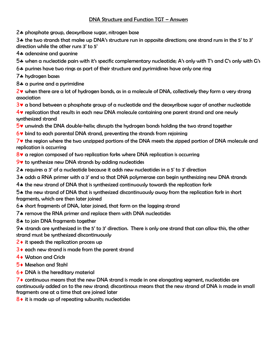 DNA Structure and Function TGT - Questions - Page 2