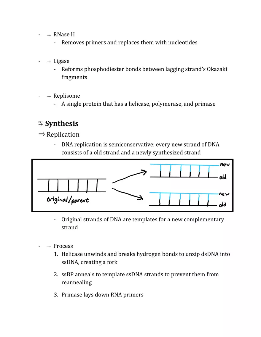 Unit 3 - Molecular Genetics Notes - Page 18