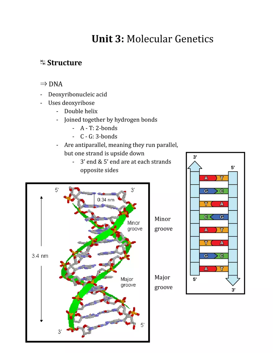 Unit 3 - Molecular Genetics Notes - Page 1