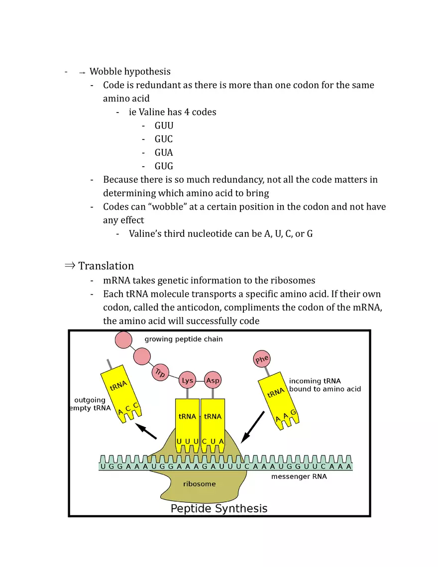 Unit 3 - Molecular Genetics Notes - Page 3