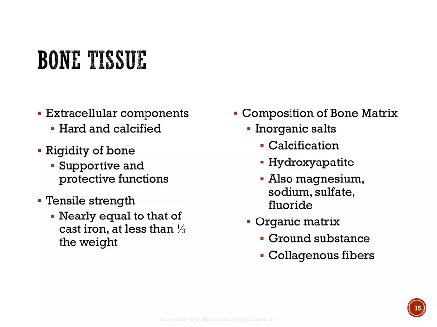 Ch. 11, 12, 13 Skeletal Tissues, Axial and Appendicular Skeleton-3 - Page 7