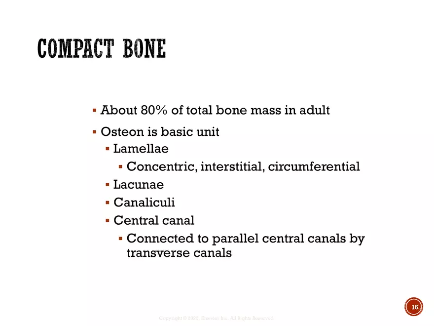 Ch. 11, 12, 13 Skeletal Tissues, Axial and Appendicular Skeleton-3 - Page 8