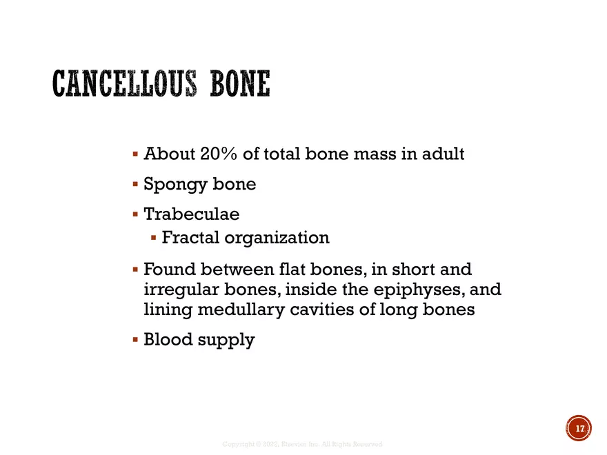 Ch. 11, 12, 13 Skeletal Tissues, Axial and Appendicular Skeleton-3 - Page 9
