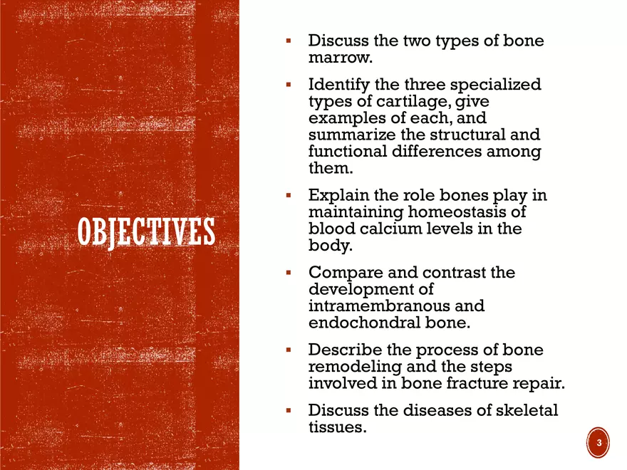 Ch. 11, 12, 13 Skeletal Tissues, Axial and Appendicular Skeleton-3 - Page 13