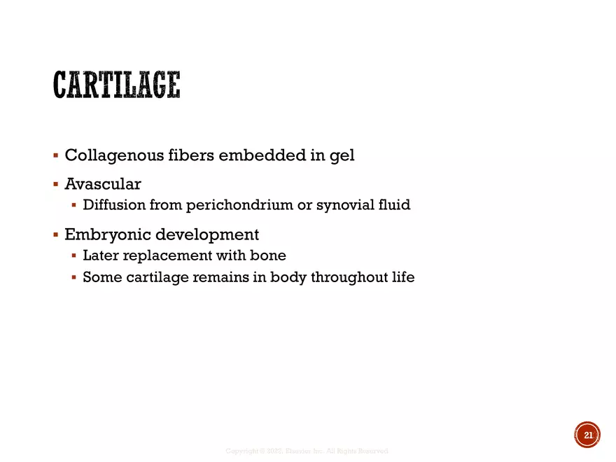Ch. 11, 12, 13 Skeletal Tissues, Axial and Appendicular Skeleton-3 - Page 14