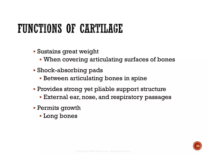 Ch. 11, 12, 13 Skeletal Tissues, Axial and Appendicular Skeleton-3 - Page 16