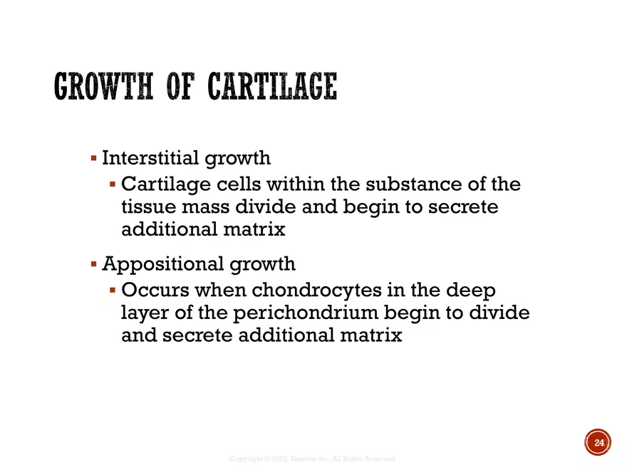Ch. 11, 12, 13 Skeletal Tissues, Axial and Appendicular Skeleton-3 - Page 17