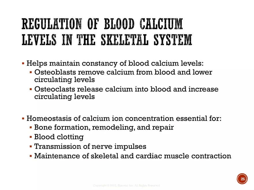 Ch. 11, 12, 13 Skeletal Tissues, Axial and Appendicular Skeleton-3 - Page 18