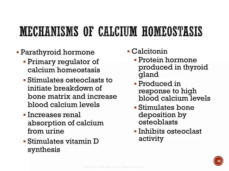 Ch. 11, 12, 13 Skeletal Tissues, Axial and Appendicular Skeleton-3 - Page 19