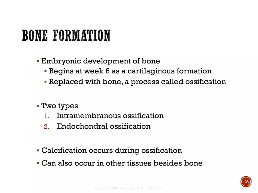 Ch. 11, 12, 13 Skeletal Tissues, Axial and Appendicular Skeleton-3 - Page 21