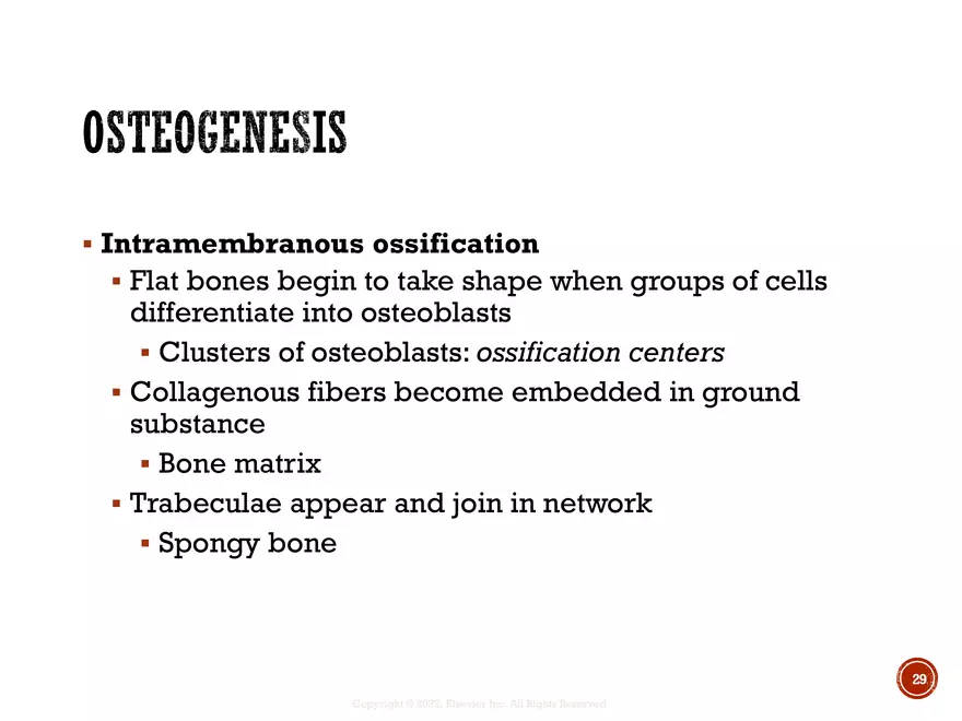 Ch. 11, 12, 13 Skeletal Tissues, Axial and Appendicular Skeleton-3 - Page 22