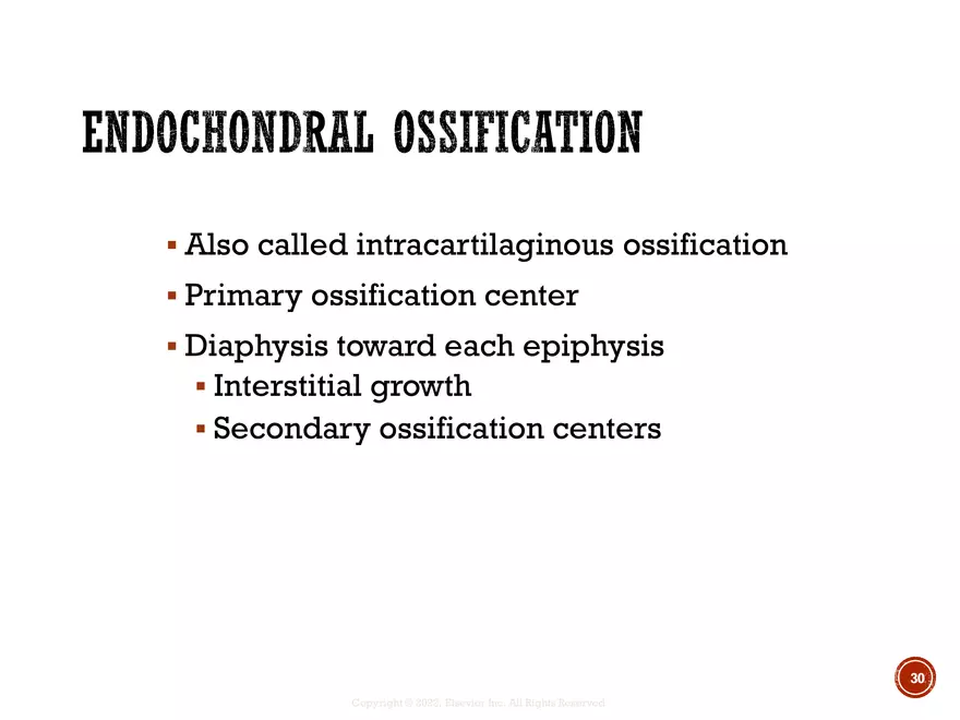 Ch. 11, 12, 13 Skeletal Tissues, Axial and Appendicular Skeleton-3 - Page 23