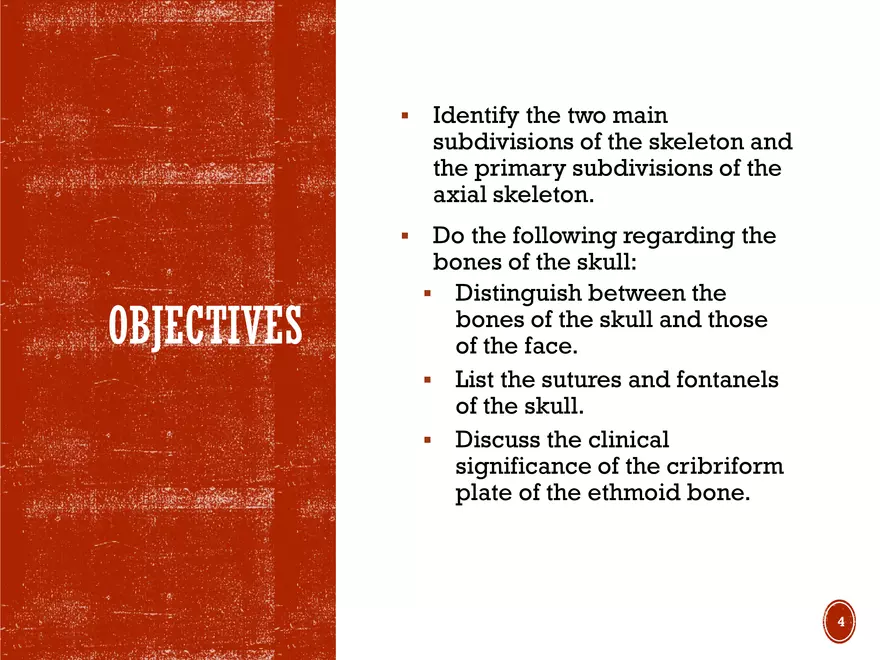 Ch. 11, 12, 13 Skeletal Tissues, Axial and Appendicular Skeleton-3 - Page 24