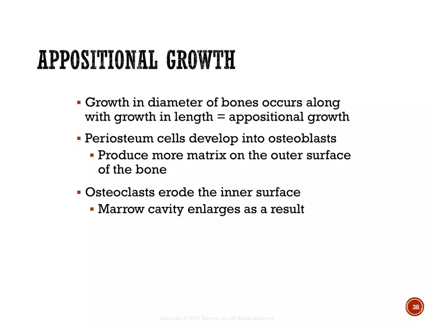 Ch. 11, 12, 13 Skeletal Tissues, Axial and Appendicular Skeleton-3 - Page 32