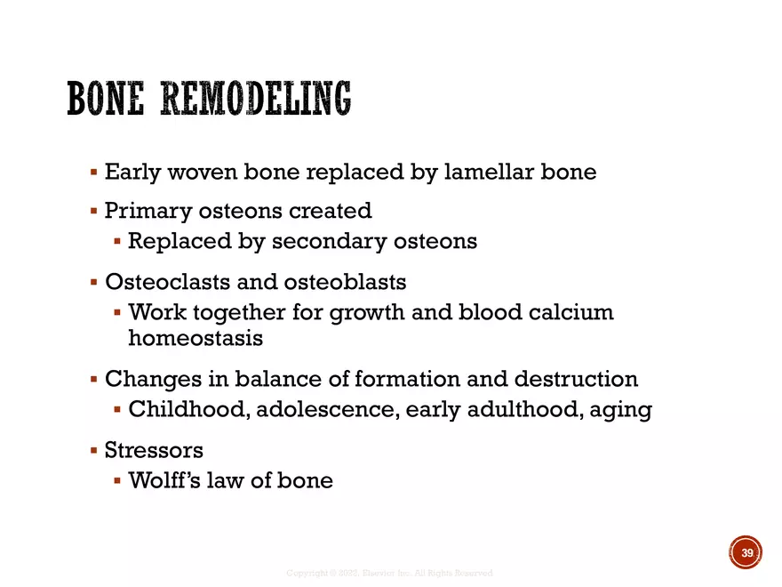Ch. 11, 12, 13 Skeletal Tissues, Axial and Appendicular Skeleton-3 - Page 33