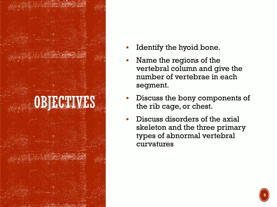 Ch. 11, 12, 13 Skeletal Tissues, Axial and Appendicular Skeleton-3 - Page 35