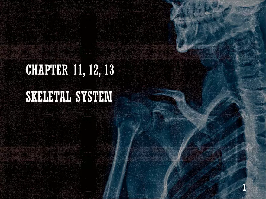 Ch. 11, 12, 13 Skeletal Tissues, Axial and Appendicular Skeleton-3 - Page 1