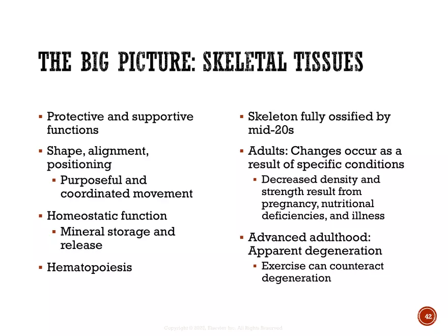 Ch. 11, 12, 13 Skeletal Tissues, Axial and Appendicular Skeleton-3 - Page 37
