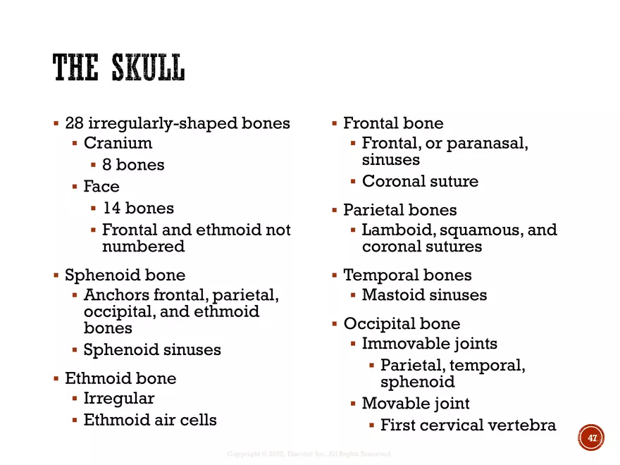 Ch. 11, 12, 13 Skeletal Tissues, Axial and Appendicular Skeleton-3 - Page 42
