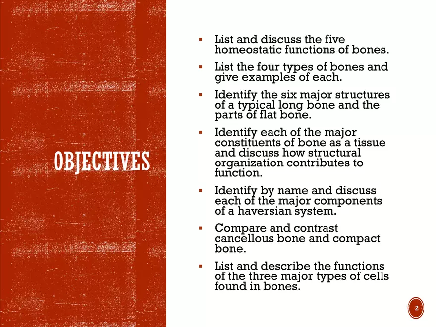 Ch. 11, 12, 13 Skeletal Tissues, Axial and Appendicular Skeleton-3 - Page 2