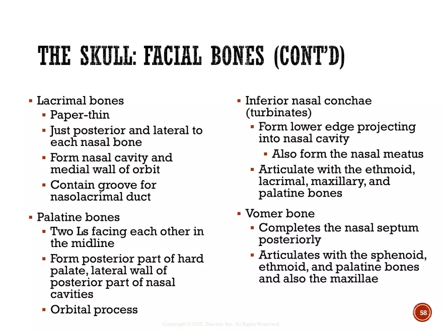 Ch. 11, 12, 13 Skeletal Tissues, Axial and Appendicular Skeleton-3 - Page 54
