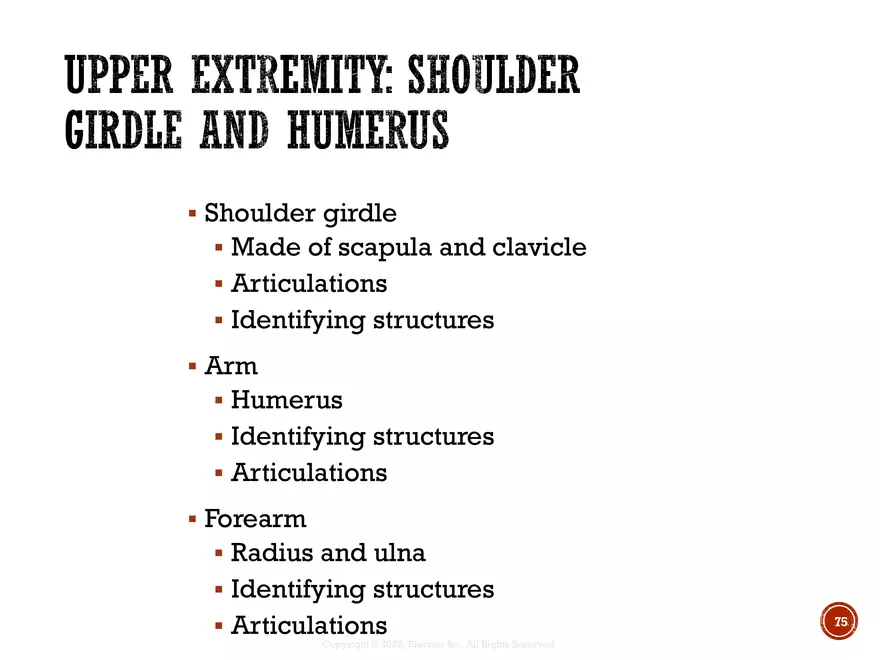 Ch. 11, 12, 13 Skeletal Tissues, Axial and Appendicular Skeleton-3 - Page 73
