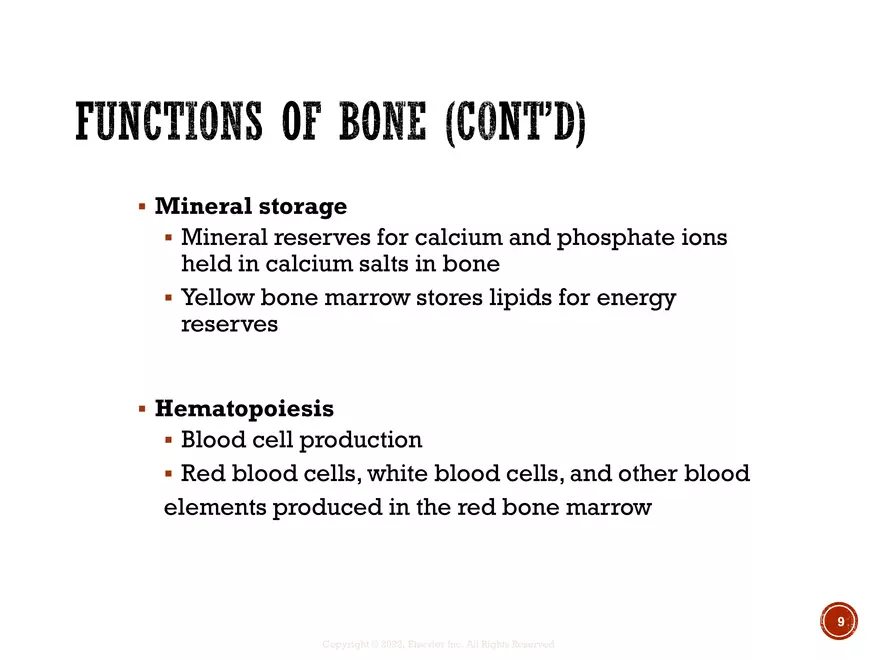 Ch. 11, 12, 13 Skeletal Tissues, Axial and Appendicular Skeleton-3 - Page 79