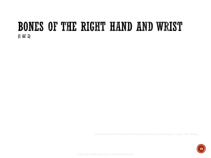 Ch. 11, 12, 13 Skeletal Tissues, Axial and Appendicular Skeleton-3 - Page 80