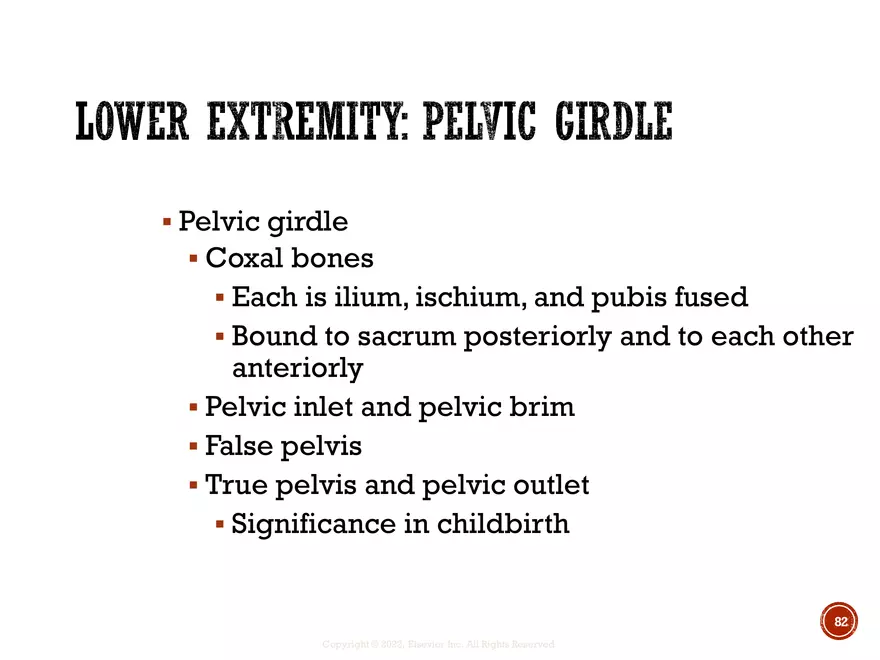 Ch. 11, 12, 13 Skeletal Tissues, Axial and Appendicular Skeleton-3 - Page 81