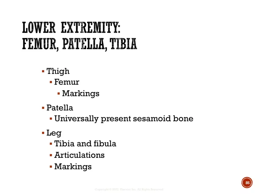 Ch. 11, 12, 13 Skeletal Tissues, Axial and Appendicular Skeleton-3 - Page 84
