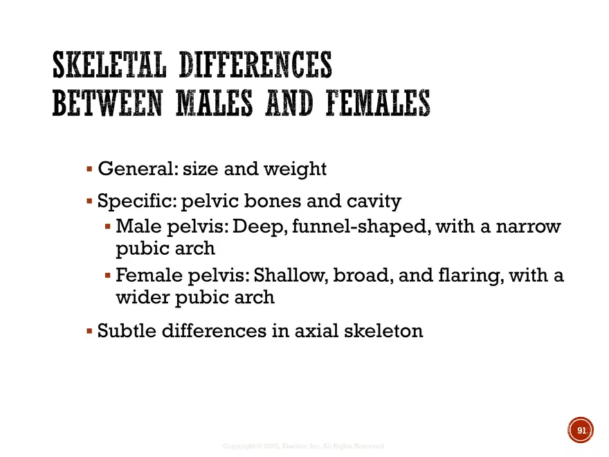 Ch. 11, 12, 13 Skeletal Tissues, Axial and Appendicular Skeleton-3 - Page 91