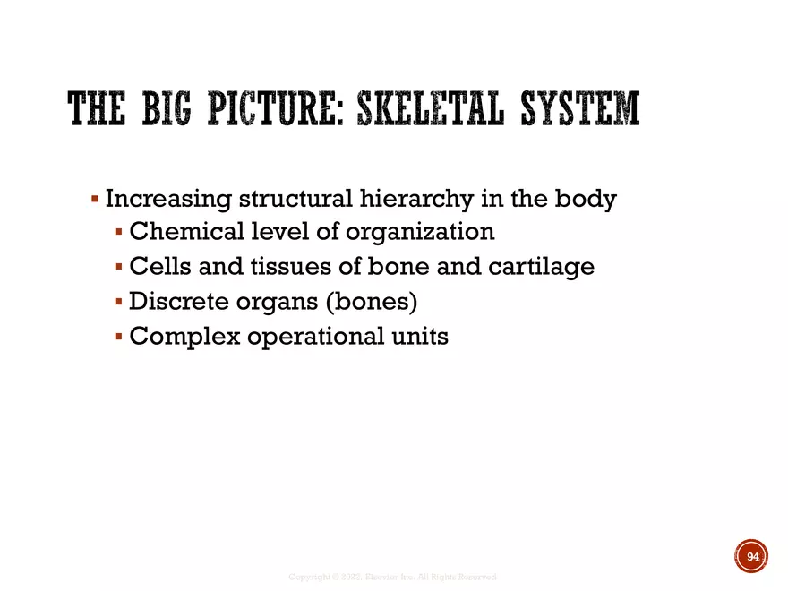 Ch. 11, 12, 13 Skeletal Tissues, Axial and Appendicular Skeleton-3 - Page 94