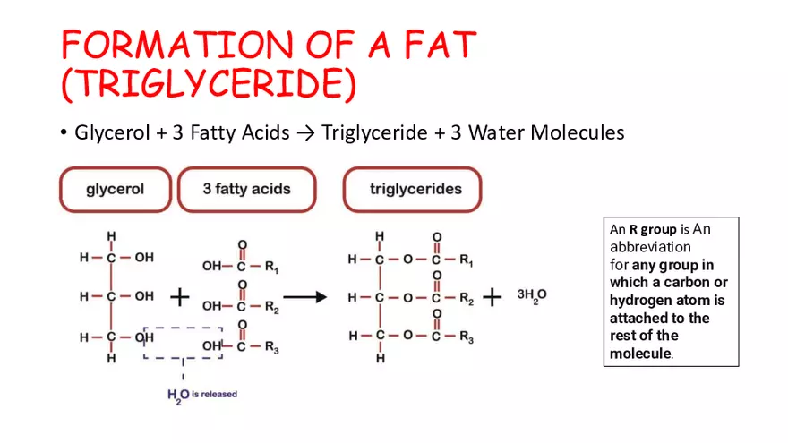 1.2 Lipids - Page 12