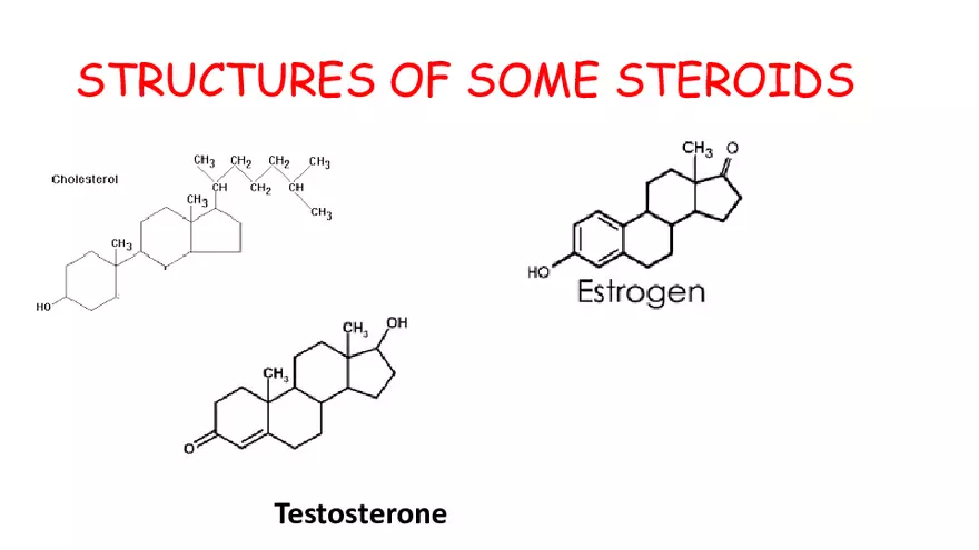 1.2 Lipids - Page 15