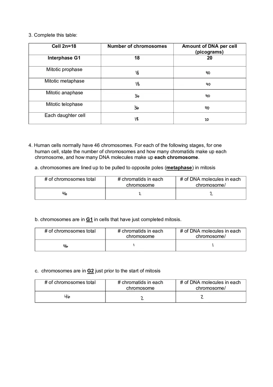 Worksheet #1 Mitosis 2n=6 Cell - Page 2