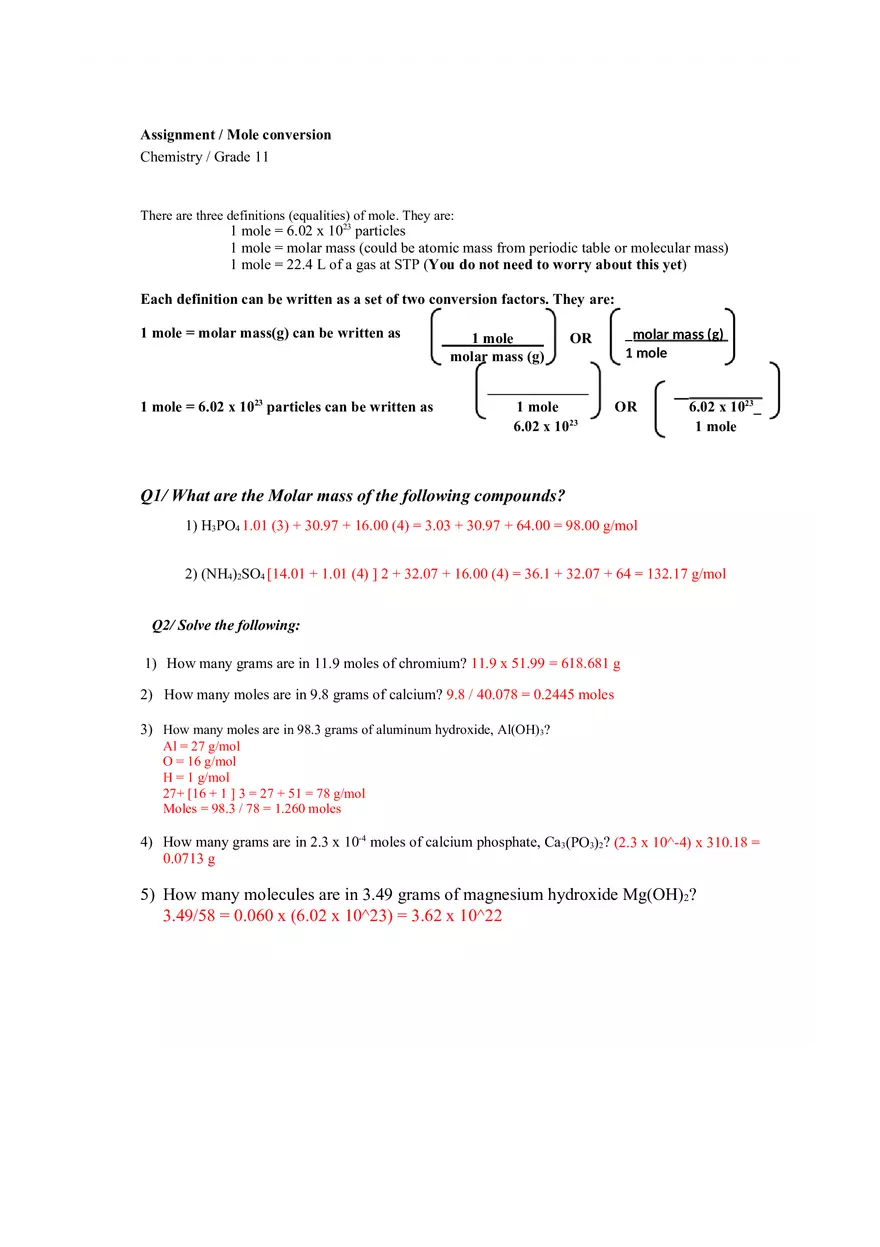 Assignment Mole Conversion - Page 1