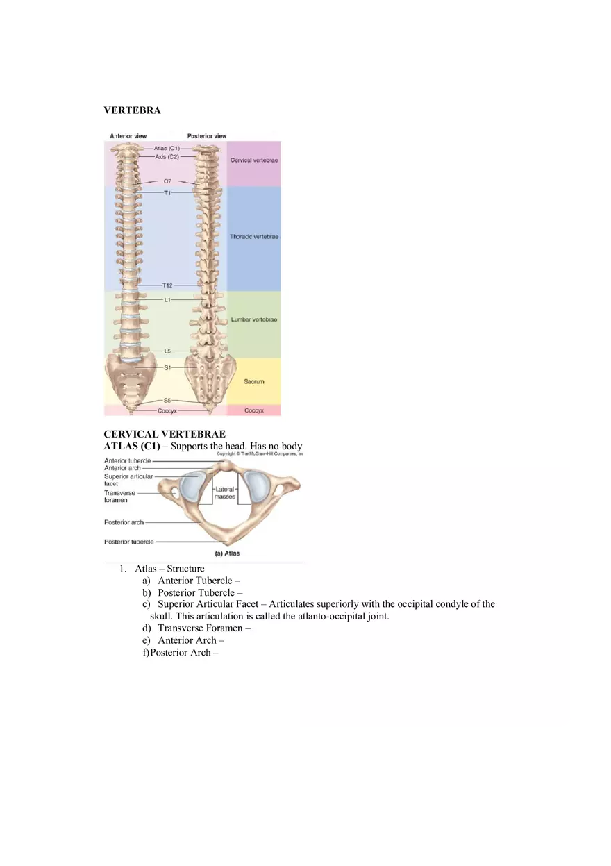 Organization of the Skeleton (Bone Review) Part 1 - Page 12