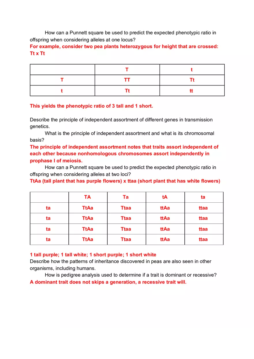 Chapter 16 Questions Objectives - Page 2